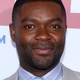 David Oyelowo attends the premiere of Selma at the Ziegfeld Theater Dec. 14, 2014, in New York City.
Rob Kim/Getty Images